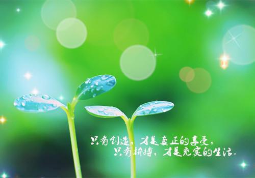 苏枝枝姜鹤林哪里可以看 苏枝枝姜鹤林免费阅读第二章