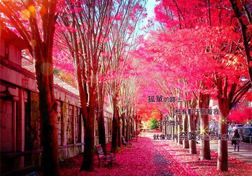 谢卓羽于湫迟主角的书 南舟秋迟全文阅读免费