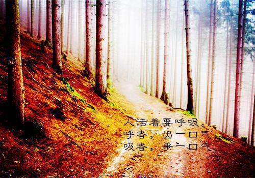 直播我成了百岁老奶奶陈安 我成了百岁老奶奶小说全文阅读