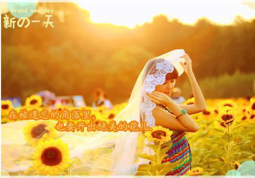 叶深顾衍华结局是什么 叶深顾衍华免费阅读全文