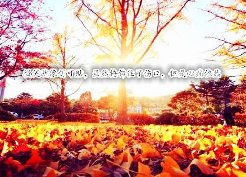 林晚晚陆绍胤免费小说 林晚晚陆绍胤在线阅读