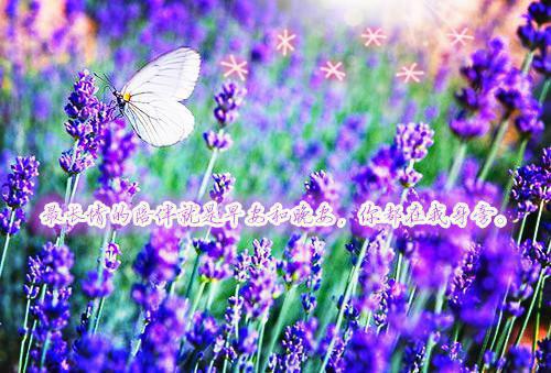 周行秦宇季听全文最新章节正版小说免费阅读