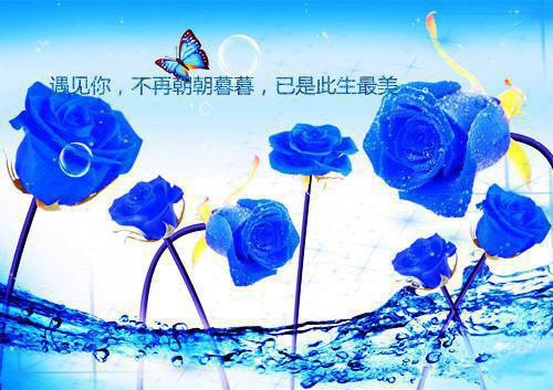 龚季泽苏雨眠(龚季泽苏雨眠)全文免费阅读_龚季泽苏雨眠章节免费阅读