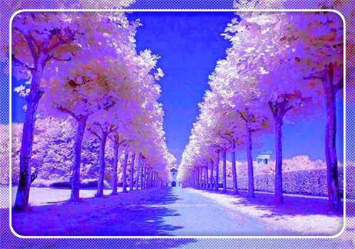 妻子男朋友换个不停,于是我把她的闺蜜们都泡了林沐瑶江淮之无广告免费阅读