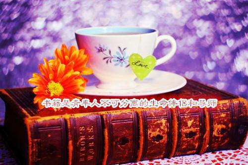 主角名是长筱夜简全文免费阅读正版