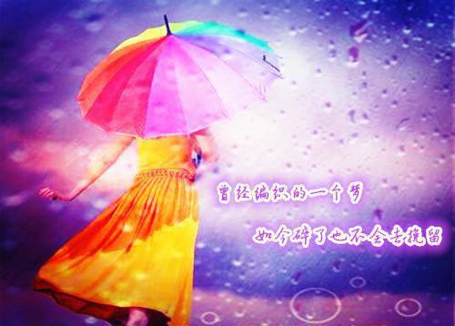 主角傅言陆晚晚宋凛小说免费阅读最新章节