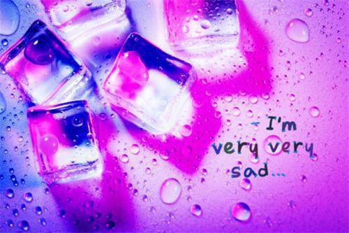 容妤沈戮全文免费阅读（容妤沈戮）全文免费阅读大结局_容妤沈戮全文免费阅读无弹窗