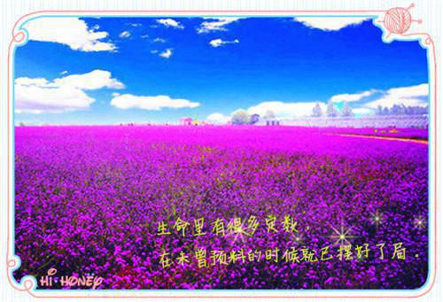 经典小说《娇娇宫女茶又媚，一路上位当祸水》姜楚沈钧全文免费阅读