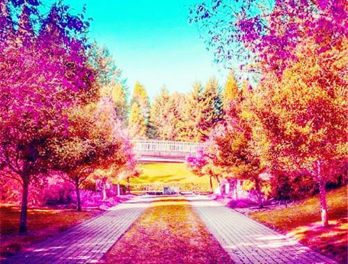 英语邀请信范文推荐