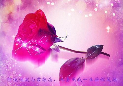 温瑾烁江州年免费小说 温瑾烁江州年在线阅读