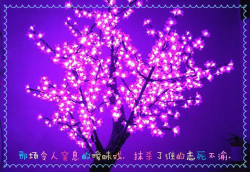 你给的爱，又名孤单在线阅读 孟饶顾嘉瑞沈欣瑶小说