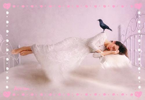 宋闻姝沈宥言免费阅读 宋闻姝沈宥言最新章节目录