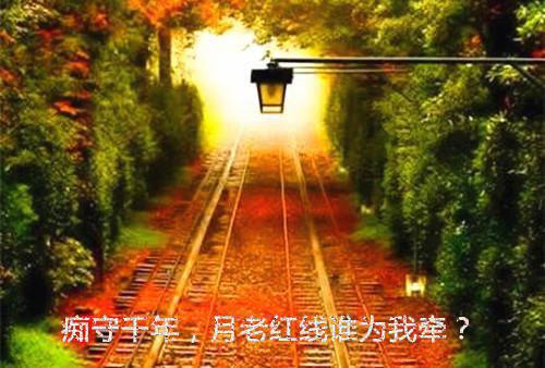 林墨道玄小说阅读 林墨道玄全文免费无广告