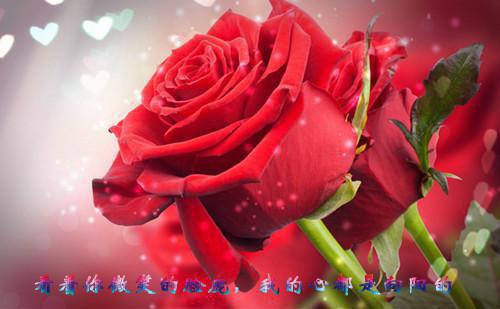 商秋枝酆砚(商秋枝酆砚)抖音热推小说全集无删减,商秋枝酆砚小说在线免费阅读大结局