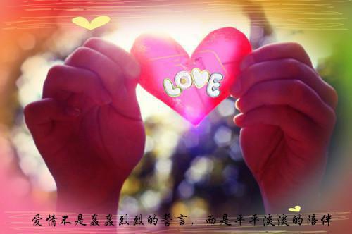 郑意眠许清舟免费全文 郑意眠许清舟小说在线阅读