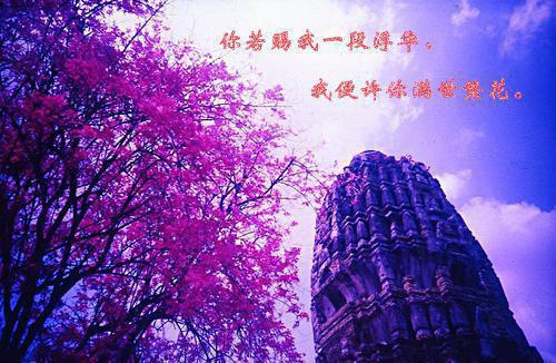 让我背黑锅，重生后我绝不允许 主角王静吴胜楠小说