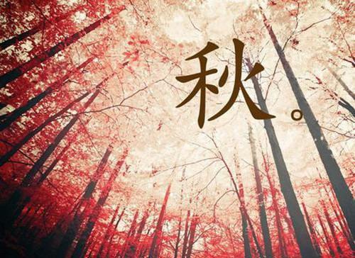 宋青山杜若兰免费阅读目录 宋青山杜若兰小说全文