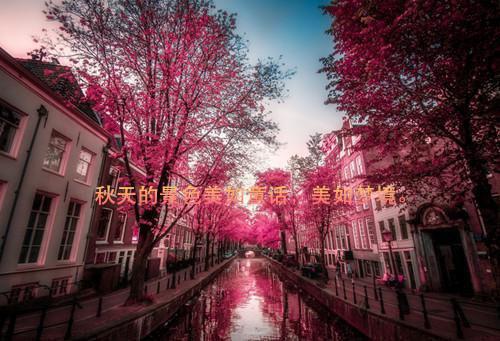 周梵音沈祁小说叫什么名字 周梵音沈祁全文免费阅读