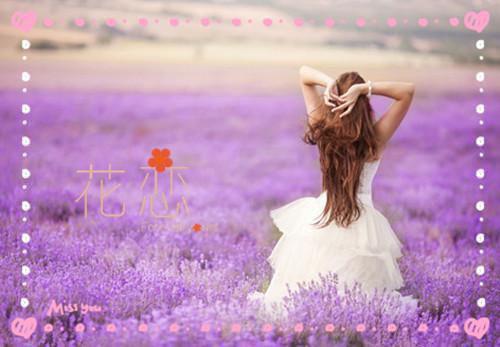 裴琬姝云蘅彦最后结局 裴琬姝云蘅彦完结版免费阅读