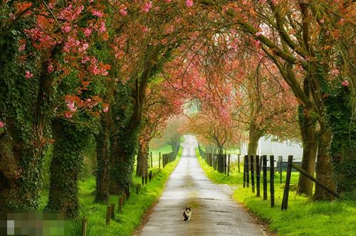 张菁菁霍长卿(张菁菁霍长卿)全文免费阅读无弹窗大结局_张菁菁霍长卿最新章节列表