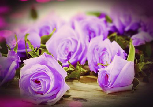 《桑烟顾聿时小说》无弹窗全文免费阅读