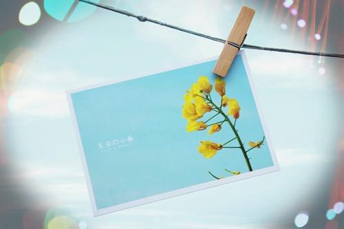 戏剧人生江澈欣欣未删节全本免费阅读