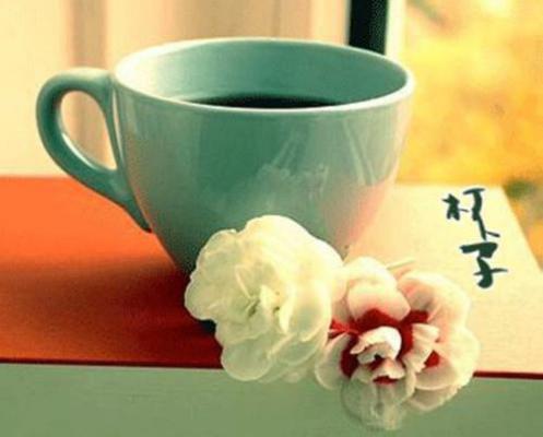 最后的任务小说全文 莫斯辰秦瑶秦婉大结局在线阅读