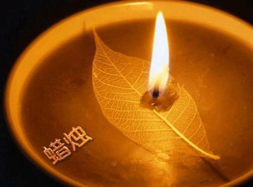 爆萌双宝：腹黑娘亲太凶猛楚芷枫小包子完结小说全文在线阅读