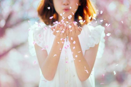 陆津南宋玲沈晚晚免费全本小说 陆津南宋玲沈晚晚章节目录