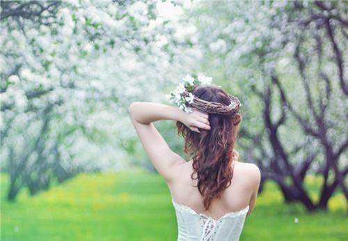 秦戈乔之诺的故事 女霸总爱上精分钓系特助章节阅读