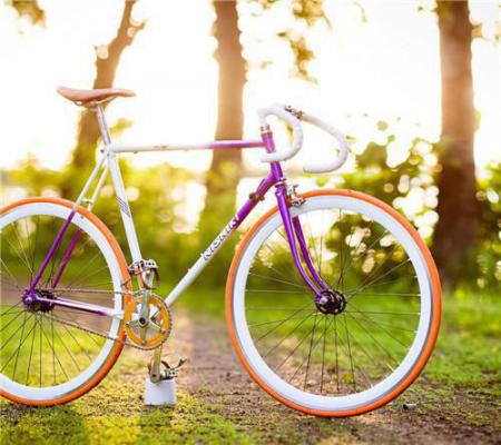 苏乐傅季平苏喜免费全文 苏乐傅季平苏喜小说在线阅读