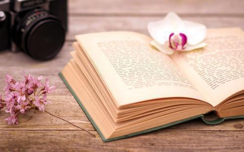 温杳谢溟小说在线阅读 温杳谢溟最新章节目录