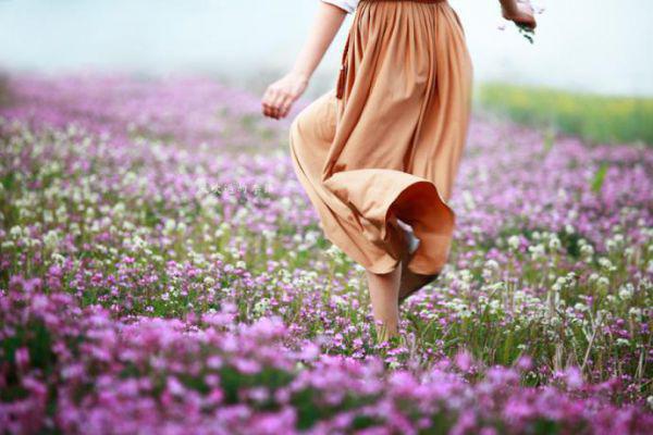 夏栀夏栀满小说目录 夏栀夏栀满完整免费版阅读