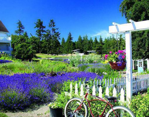 主角名是陈莘陈晟善华全文免费阅读正版