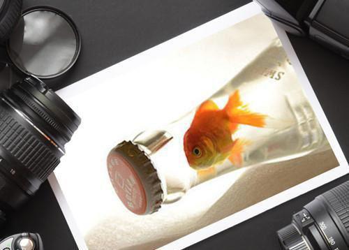 《我和女儿死后，他才开始爱我们》最新章节无弹窗by麻酱未删节小说在线阅读