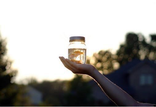 沈娇刘健全文免费大结局 沈娇刘健小说在线阅读