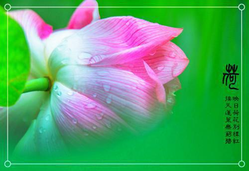 林娟林阳是什么小说的主人公 林娟林阳免费阅读