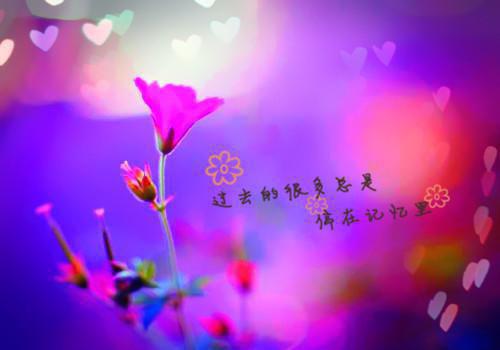 苏清言是大网红，而我被当成捞女，重活一次我要揭开她虚伪的假面结局在线阅读 苏清言唐雪薇完整版免费小说