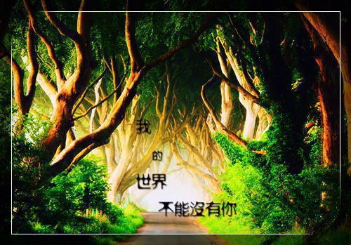 苏靖雪薇结局是什么 苏靖雪薇免费阅读全文