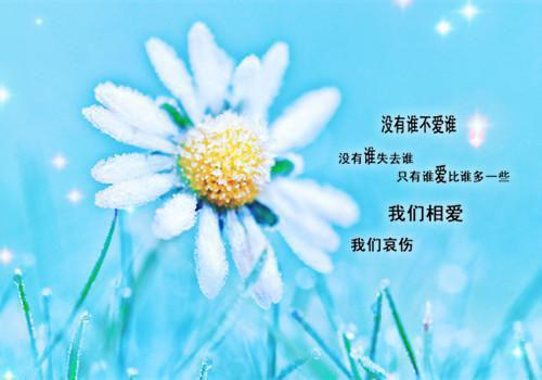 岑冉冉裴知叙小说全文免费阅读 岑冉冉裴知叙最新章节