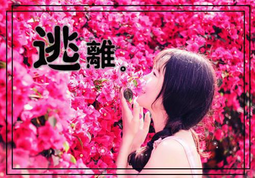 王业陈茜茜张野小说 王业陈茜茜张野全文免费阅读