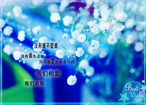 三岁的小侄子拿着堂哥的手机问我怎么不穿衣服在线阅读全文 陆锦程陆怀瑜何梦圆小说结局