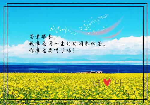 星圈双废完结版秦嘉难许轻轻免费阅读