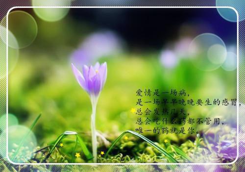 赵盈儿棠儿沈淮安免费大结局 我为夫纳妾一箭三杀去父留子当主母完结小说