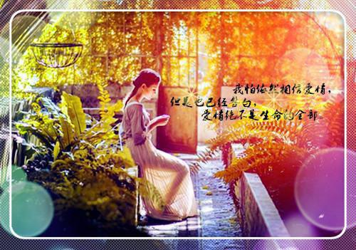 李雪陆霄沈卫小说 李雪陆霄沈卫免费全文阅读