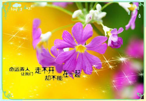 岳逆飞儿免费小说 岳逆飞儿在线阅读