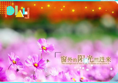 阿梨姜成白齐妙小说章节目录 阿梨姜成白齐妙免费阅读第1章