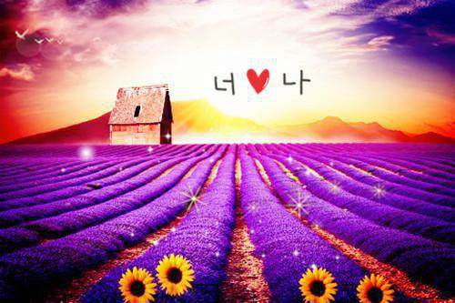 出轨不可原谅，死都不行！(结局) 洛洛宋婉容楚清时免费阅读全文