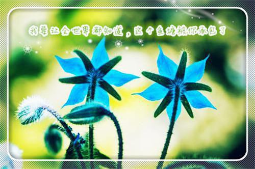 纪洲言清最新章节免费 纪洲言清第4章在线阅读