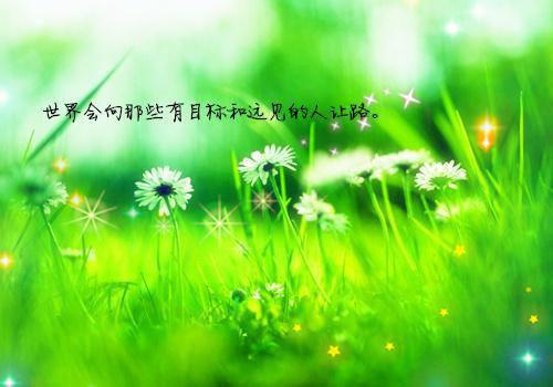 姜秘书别撩了，薄少跪求你上位全本小说阅读 姜汝宁薄止川全章节目录